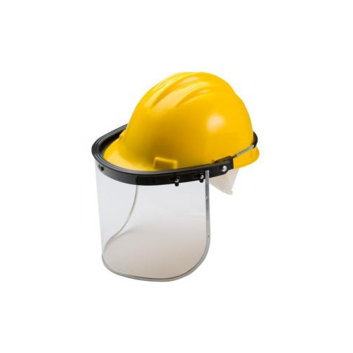 helmet with visor